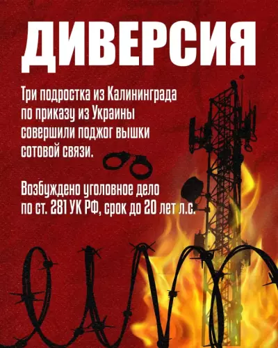 10.07.2025 Срок за поджог